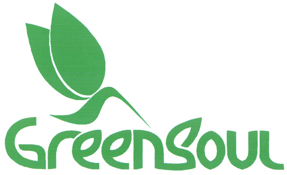 Yellow soul luke and green soul jean gzale reddit. Mini soul smile. Ali mahdavi. Heal my soul. соул смиле.