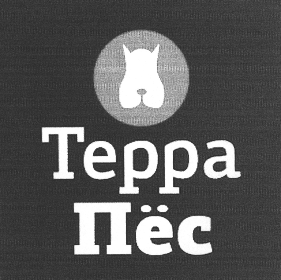 Терра собаки. Терра пес. Терра пес для щенков. Терра догс АЗОЛИ.