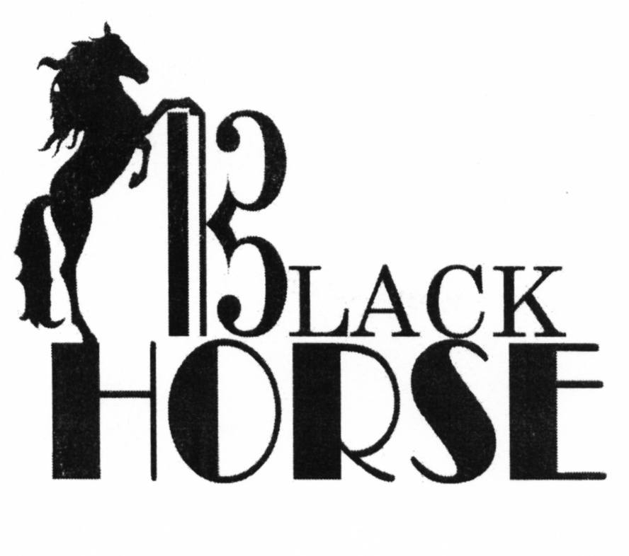 Блэк хорс. Black Horse компания. Black Horse Ventures Limited logo.