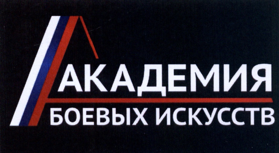 Академия боевых искусств садовая ул 45б фото