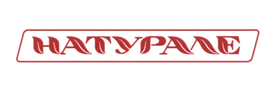 Директор бриг торг энгельс