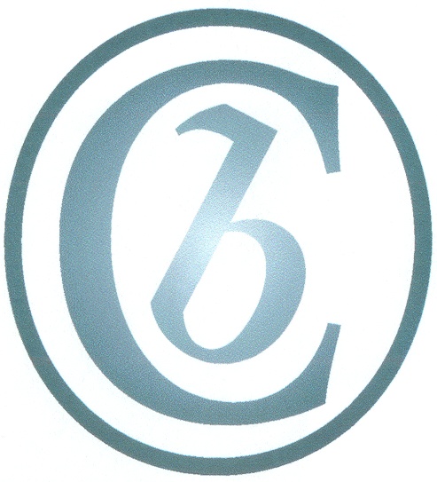 1c символ