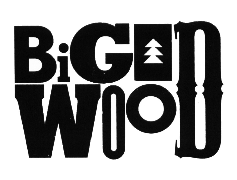 Bigwood. Логотип Bigwood. Наклейки Bigwood. Наклейка Биг Вуд. Bigwood надпись.