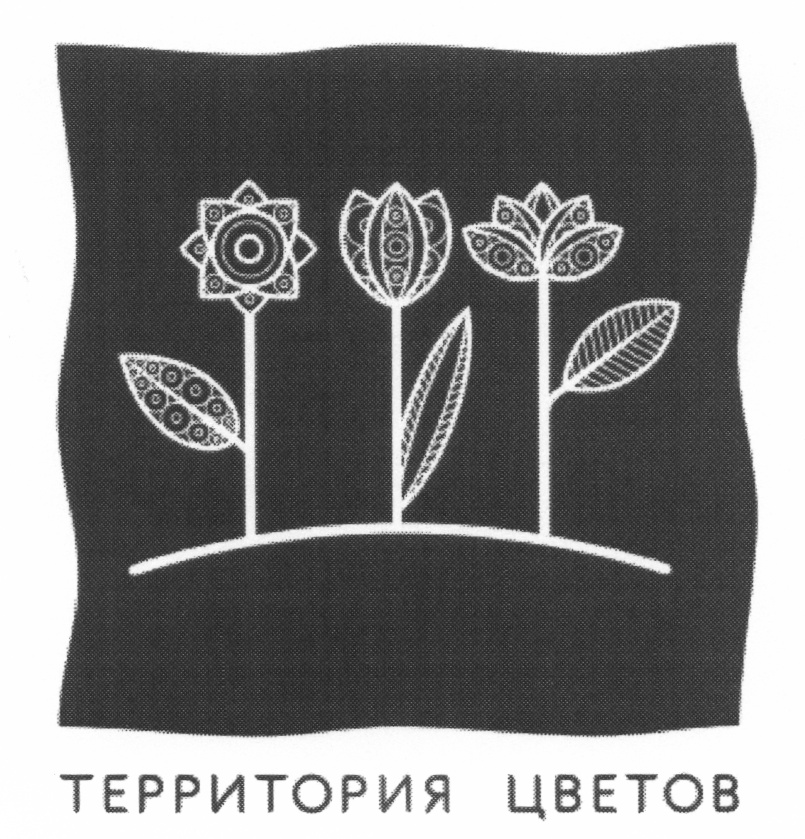 Территория цвета