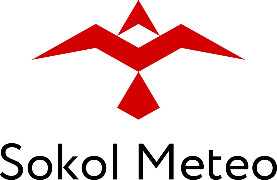 Сокол том 1. SOKOLOV логотип. Сокол м1. Сокол Строй. Сокол метео логотип вектор.