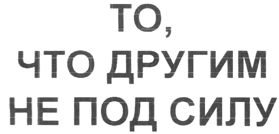 Не под силу. Немцина Инна Александровна. Не подсилу.