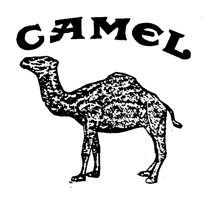 Camel text. Camel бренд. Логотип кэмел сигареты. Торговая марка. Camel сигареты вектор.