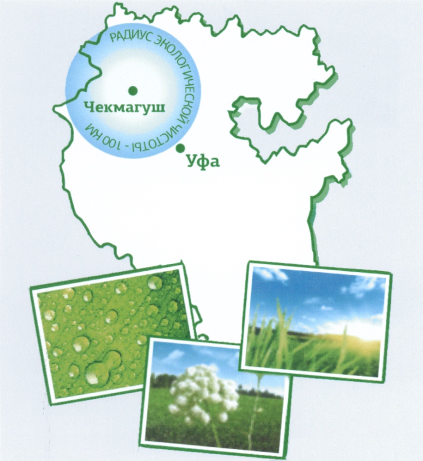 Уфа чекмагуш. Герб Чекмагушевского района. Герб Чекмагуша. Чекмагуш эмблема. Флаг Чекмагушевского района.