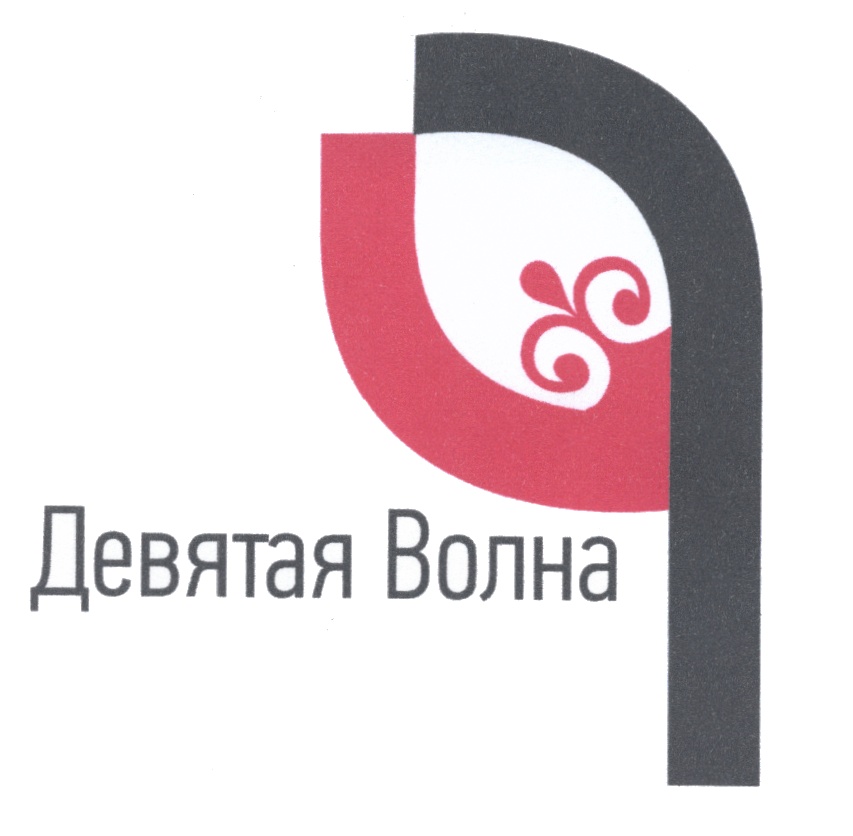 9 волна