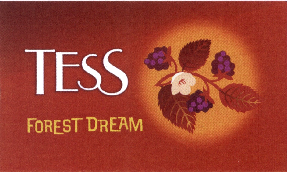 Tess forest dream. Тесс товарный знак. Тесс Форест Дрим. Tess товарный знак изготовителя. Товарный знак чая Тесс.