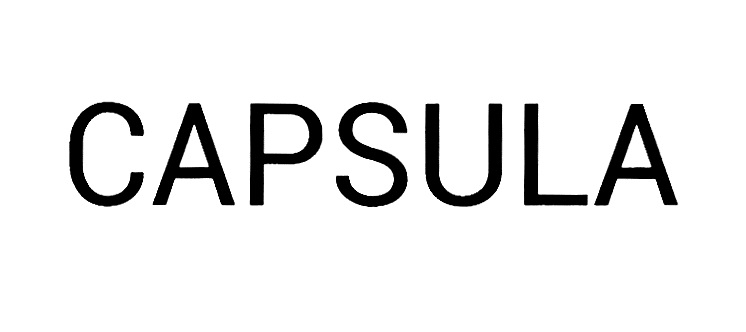 Capsula одежда