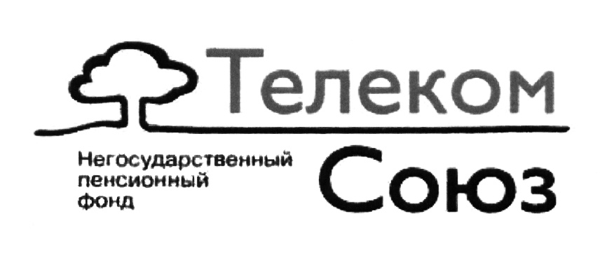 Череповец пенсионный фонд телефоны. Телеком Союз. НПФ Телеком Союз. Негосударственный пенсионный фонд. ОАО НПФ Телеком Союз Череповец.