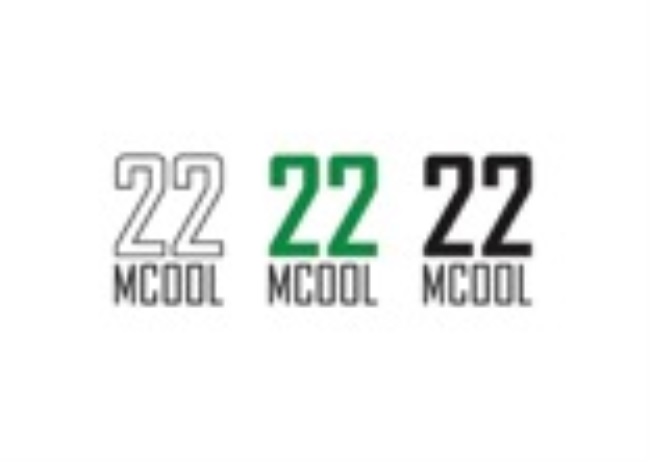 22 буквами. Mcool22 состав.