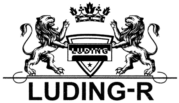 Luding group. Лудинг. Luding логотип. ООО Лудинг. Лудинг Москва.