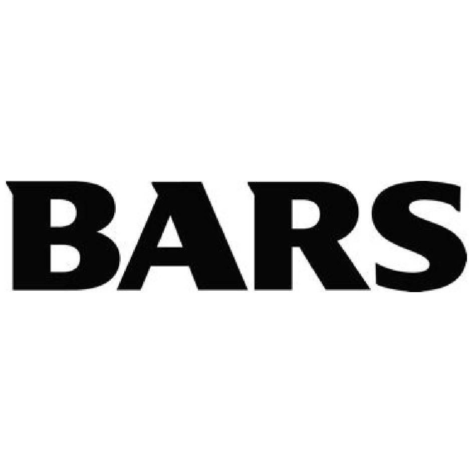 Mdbu tatar ru. Bar логотип. Барс логотип. Надпись Барс. Bars двери логотип.