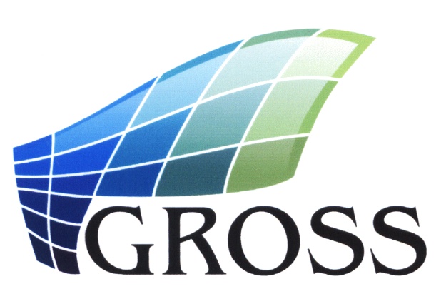 Gross бренд. Страхование gross. Gross логотип. Мультитул гросс. Gross бренд.