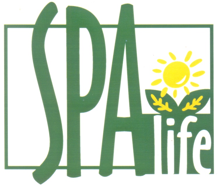 Grand wellness hotel 5*. Голден лайф набережные челны. Эва парк. Спа лайф. Golden life heights deluxe suite hotel 4.