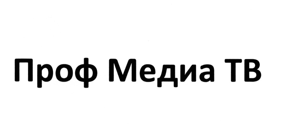 Медиа тв рудный. ПРОФМЕДИА ТВ. ПРОФМЕДИА логотип. МЕДИАПРОФ арт. Даниил ПРОФМЕДИА.