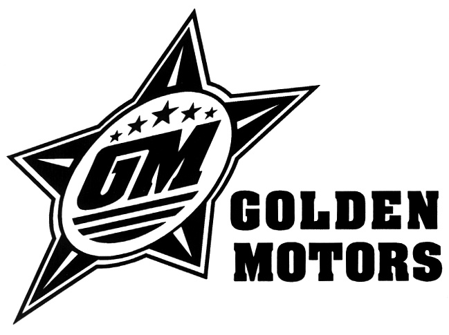 Логотип дорогое удовольствие png. Umicore золото. Золотая буква g. Мозаика стеклянная glossy. Gm bigcity gmod.