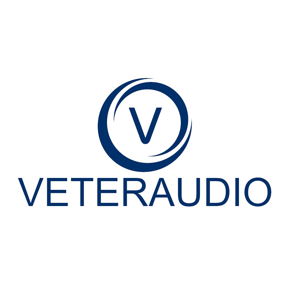 Ветер аудио. Veteraudio наклейка. Veteraudio Екатеринбург. Ветер аудио Екатеринбург.