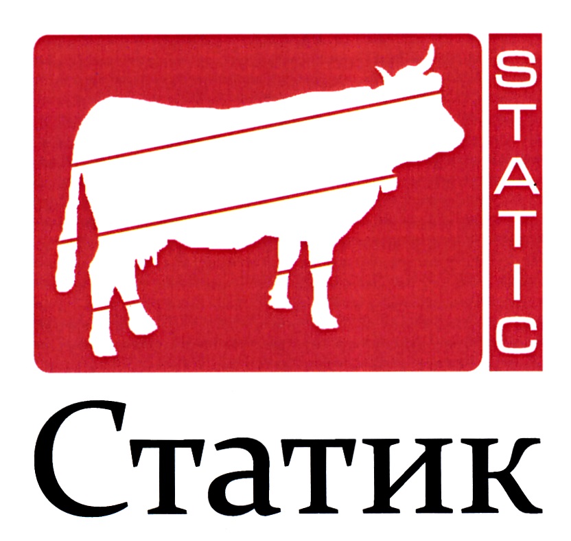 Купить Статик 3 М