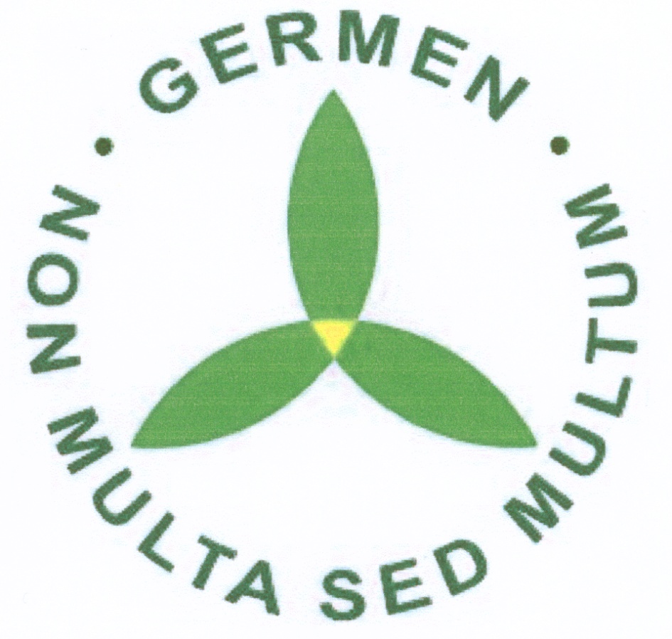 Multum non multa. Гермены. Sed multum. Multum.