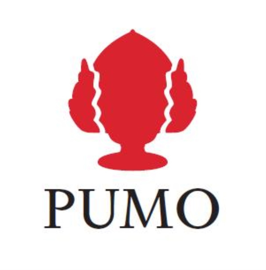 замороженная пицца пумо. P y m o. P y m o. эмблема морская тематика. логотип шохамбари.