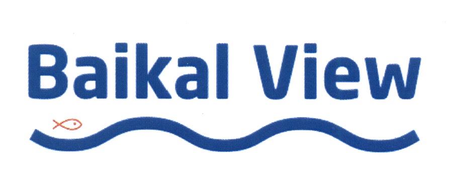 Эндемик ольхон гостиница. Байкал вью кафе ольхон. Baikal view hotel ольхон. Ольхон baikal view. Байкал вью отель хужир.