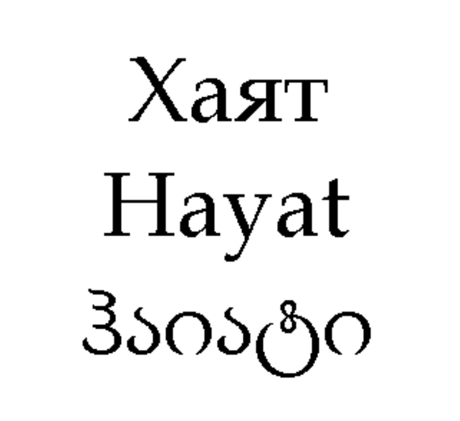 Хаят маркетинг. Hayat надпись. Hayat товарный знак. Хаят надпись. Хаят имя.