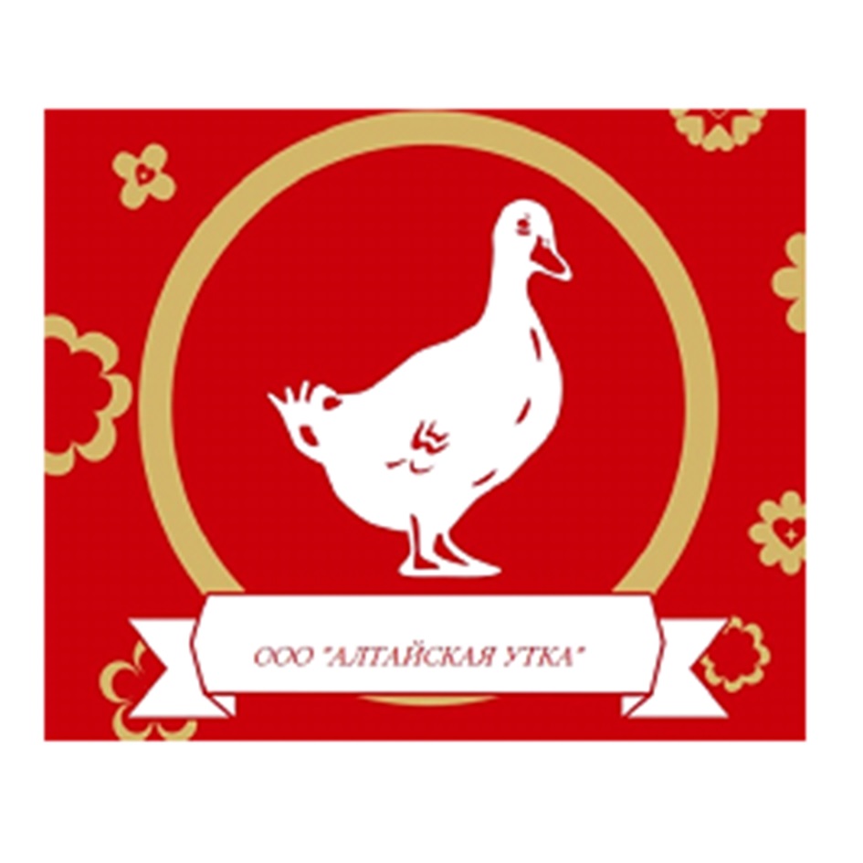 Алтайская утка. Утка кряква дальневосточная. Алтайская утка. Водоплавающие птицы алтайского края. Гусь товарный знак.