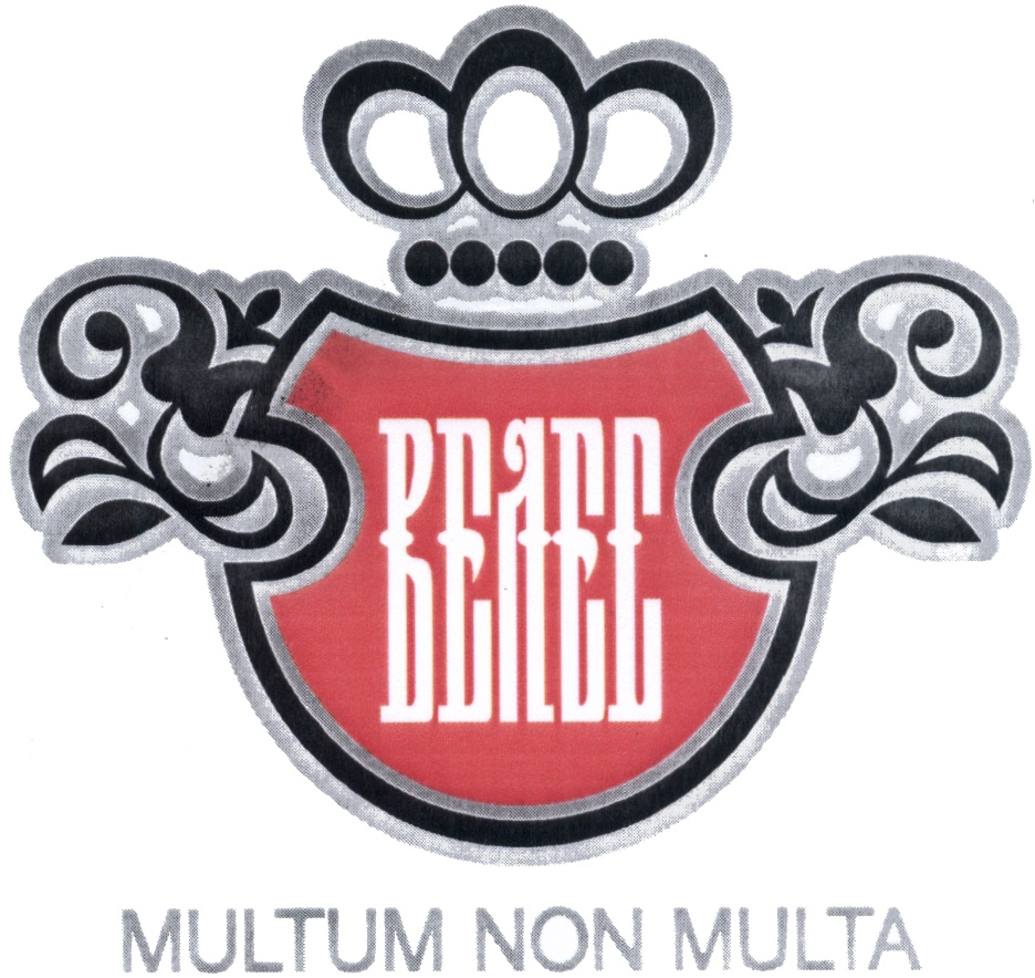 Multum non multa