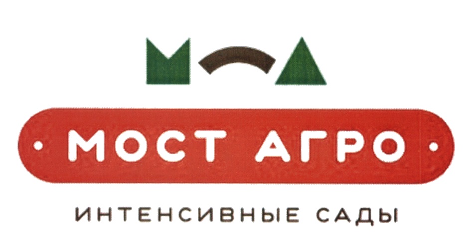 Ооо мост телефон