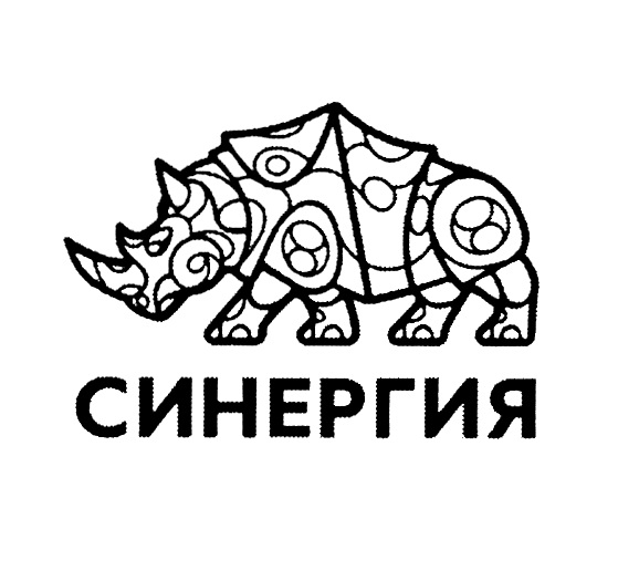 Синергия презентация к диплому