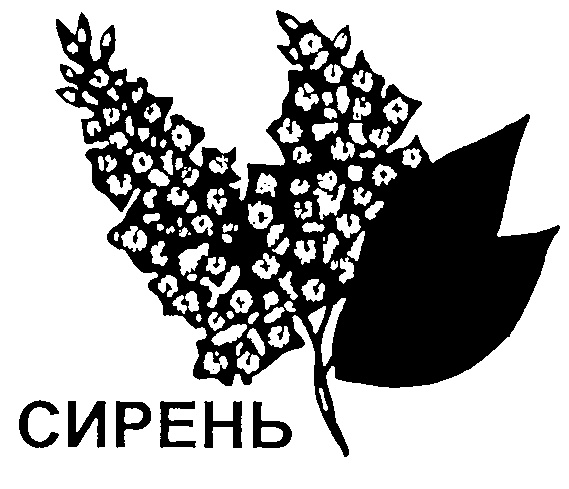 Сирень символ победы рисунок