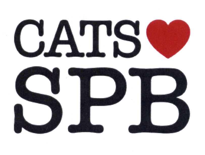 Cats регистрация
