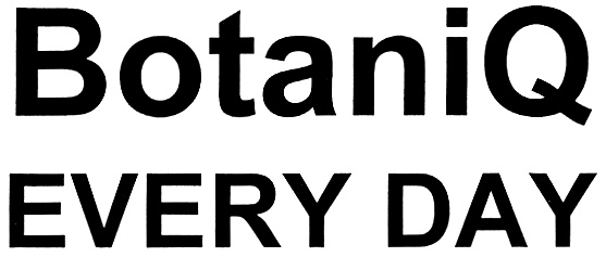 Blender botaniq. Blender botaniq