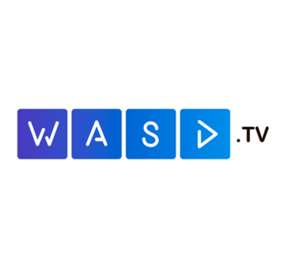 Wasd чей проект