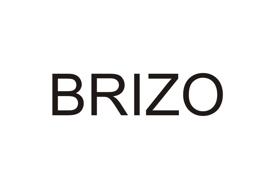Бризо. Brizo CRM. Brizo логотип. Brizo программа. Презентация Brizo.