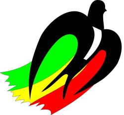 логотип ООО «ТСК «АВАНГАРД»