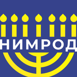 логотип НИМРОД