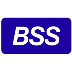 логотип Компания BSS 1087746170181