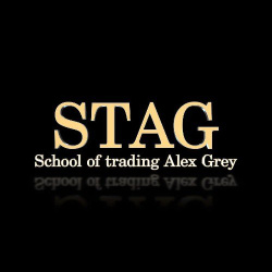 логотип Инвестиции и Трейдинг STAG