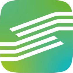 логотип R-Style Softlab
