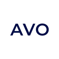 логотип AVO Business