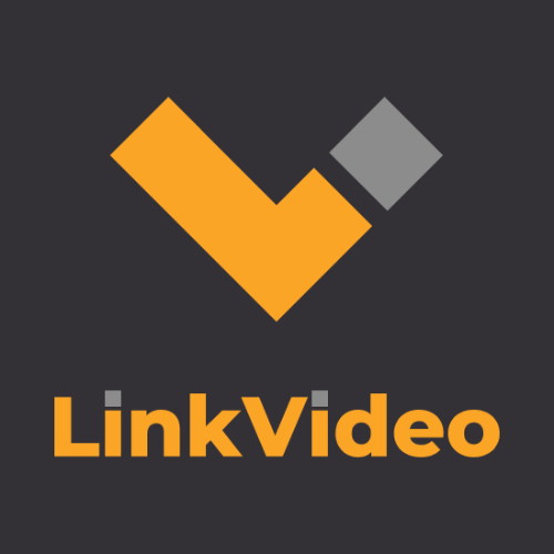 логотип LinkVideo 1024200702294