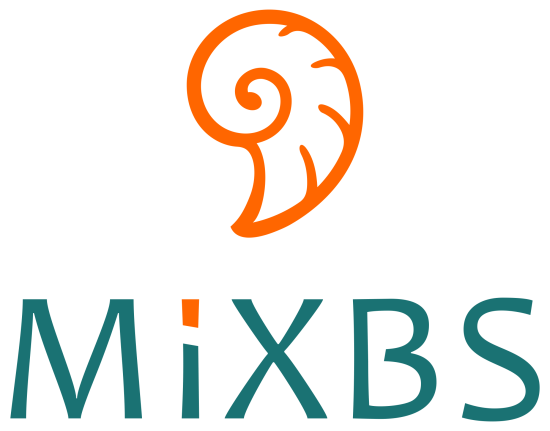 логотип ООО «МИКСБС» 1196451023922