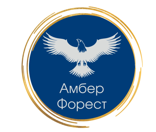 логотип ООО "АМБЕР ФОРЕСТ" 1215900016056