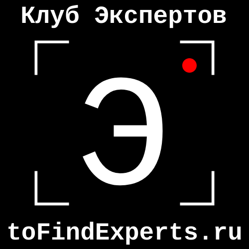 логотип ООО «ЭКСПЕРТНЫЕ СЕРВИСЫ» 1225900001733