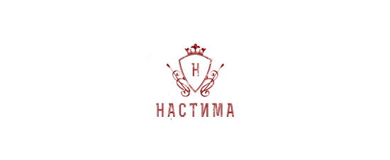 логотип ООО «НАСТИМА» 1205500025334