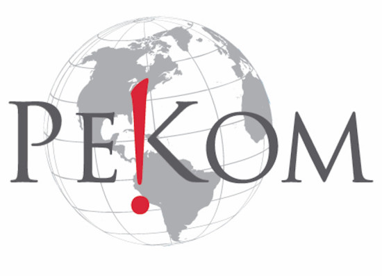 логотип ООО «РЕКОМ» 1066164199420
